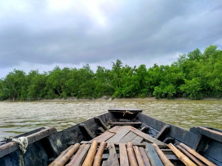 Nijhum Tour and Travels
