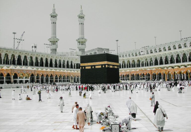 Nijhum Tour and Travels