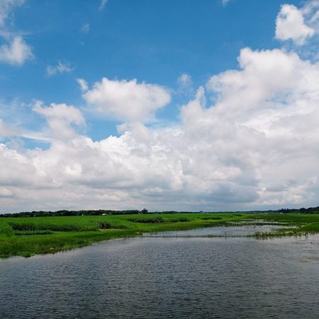 Nijhum Tour and Travels