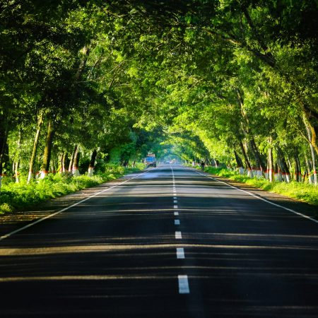 Nijhum Tour and Travels